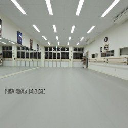 PVC舞蹈專用地膠，PVC專業(yè)舞蹈地膠