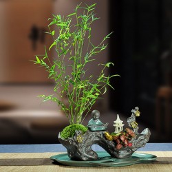 武漢辦公室盆栽室內盆景公司花卉，武漢室外苗木商場綠植工廠盆栽