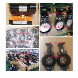 德國(guó)依博羅（EBRO）對(duì)夾式蝶閥DN40-DN500現(xiàn)貨提供